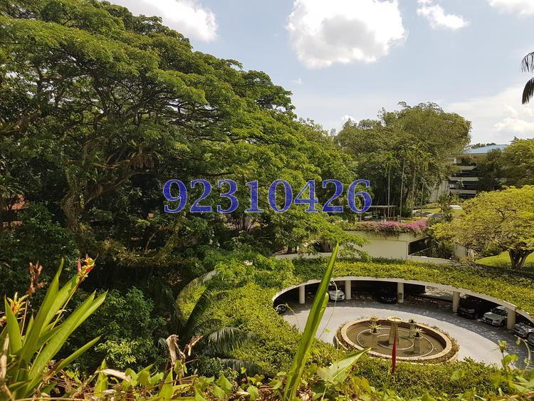 The Arcadia (D11), Condominium #144999712